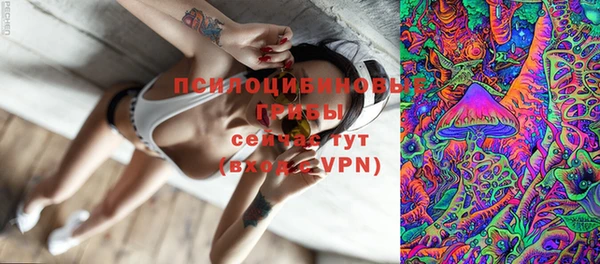 соль курить ск Вяземский