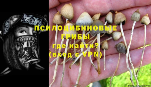 Альфа ПВП Вязьма