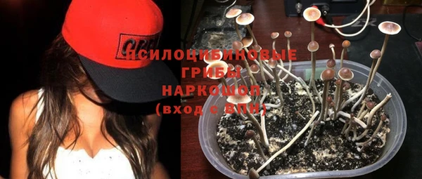 Альфа ПВП Вязьма