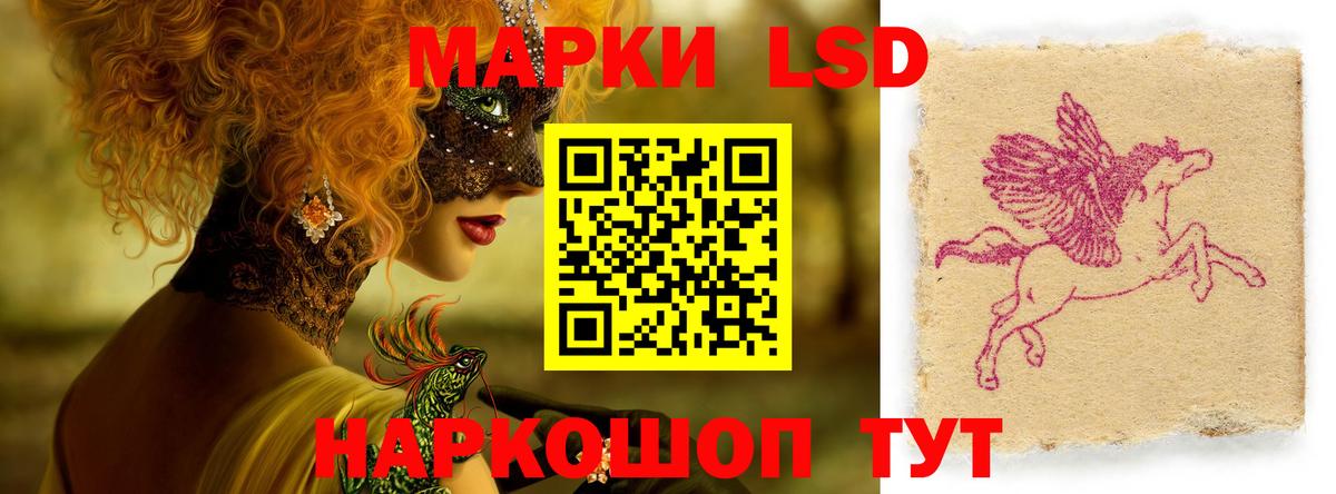 Железногорск  Лсд 25 экстази кислота  Лсд 25 экстази  ЛСД экстази кислота  Вход с VPN 