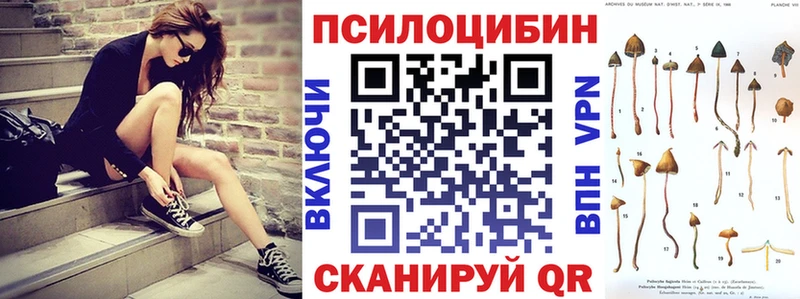 Псилоцибиновые грибы Cubensis дарнет шоп блэк спрут зеркало Железногорск